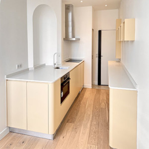 PROJET FAUBOURG-SAINT-DENIS
PARTICULIER PROJET FAUBOURG-SAINT-DENIS PARTICULIER